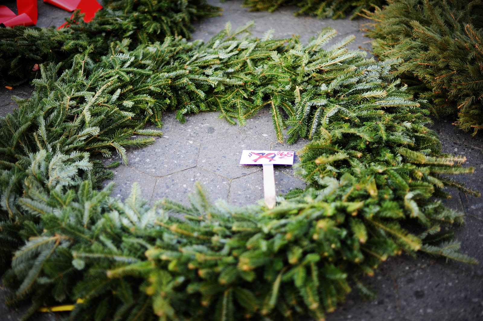 Real christmas wreaths Sydney